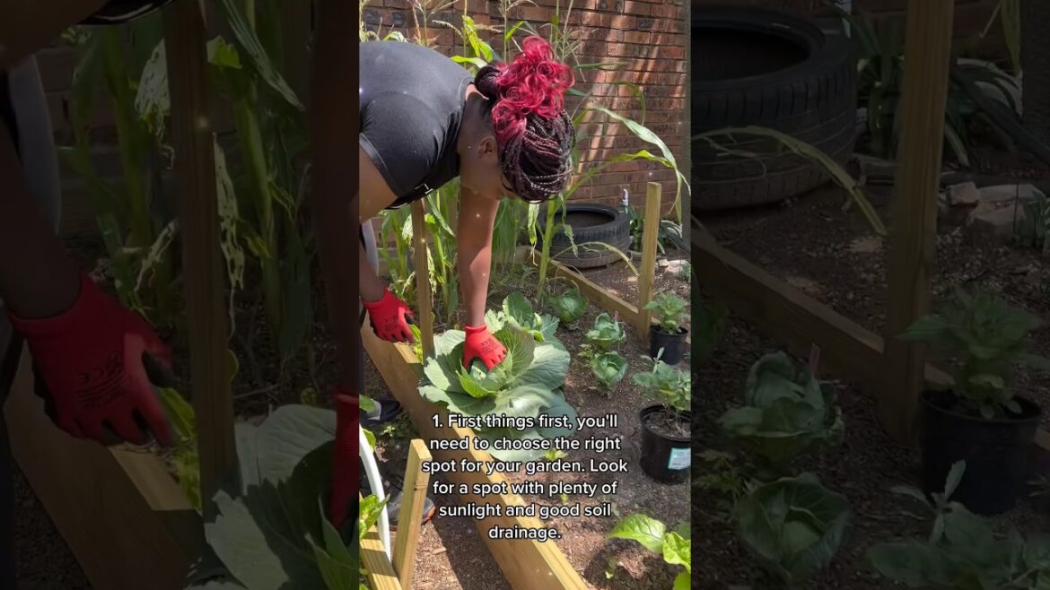 Gardening tips to consider #gardening #shorts #gardeningtips