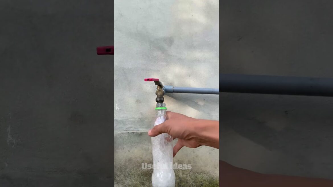 DIY ideas for the garden from recycled plastic bottles and screws #shorts #diyideas DIY ideas for the garden from recycled plastic bottles and screws #shorts #diyideas