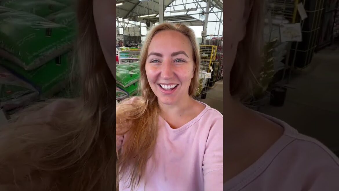 X Livestream Crazy Plant Lady Houston Garden Centers Lovable Curves Landscaping Dreams Kyrgies