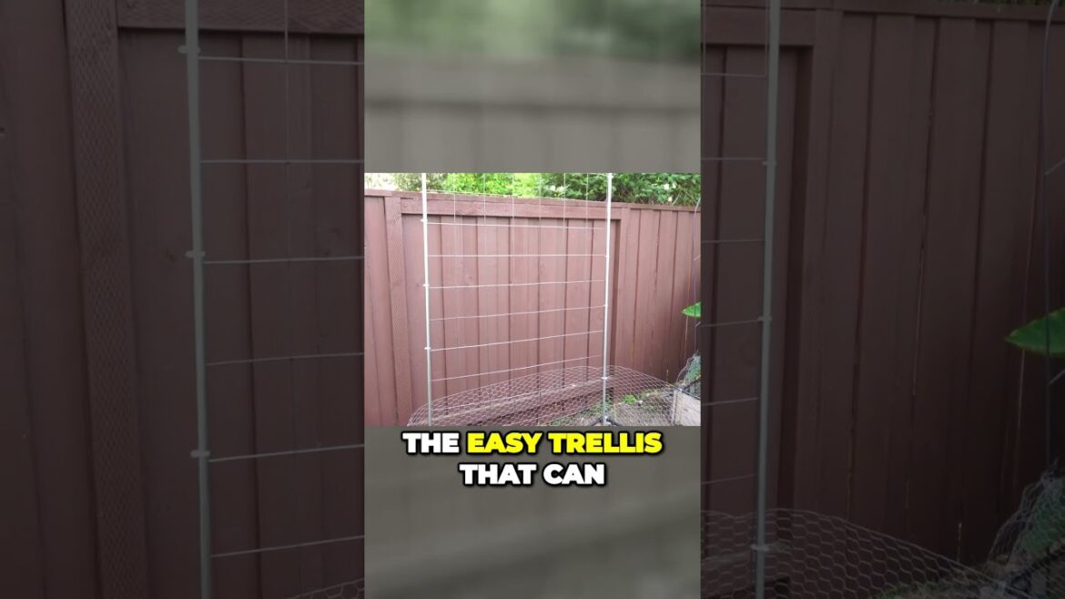 DIY Trellis in 60 Seconds: Boost Plant Support in Raised Beds | #Shorts
