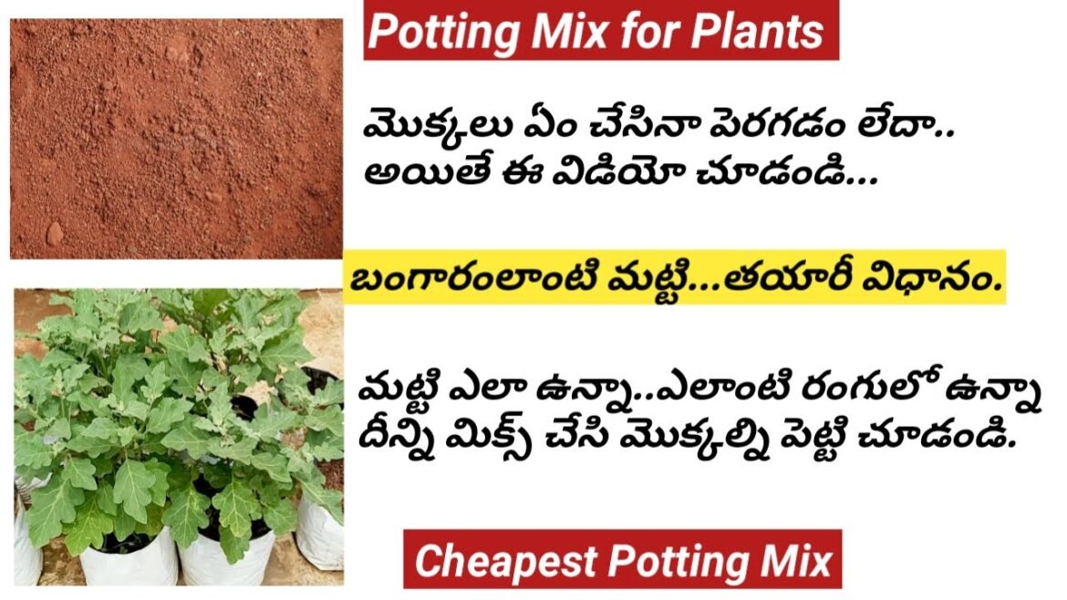 Soil Mixture for All Plants/బంగారంలాంటి మట్టి/bigg secrets/Garden Soil Preparation/Potting Mix/Tips.
