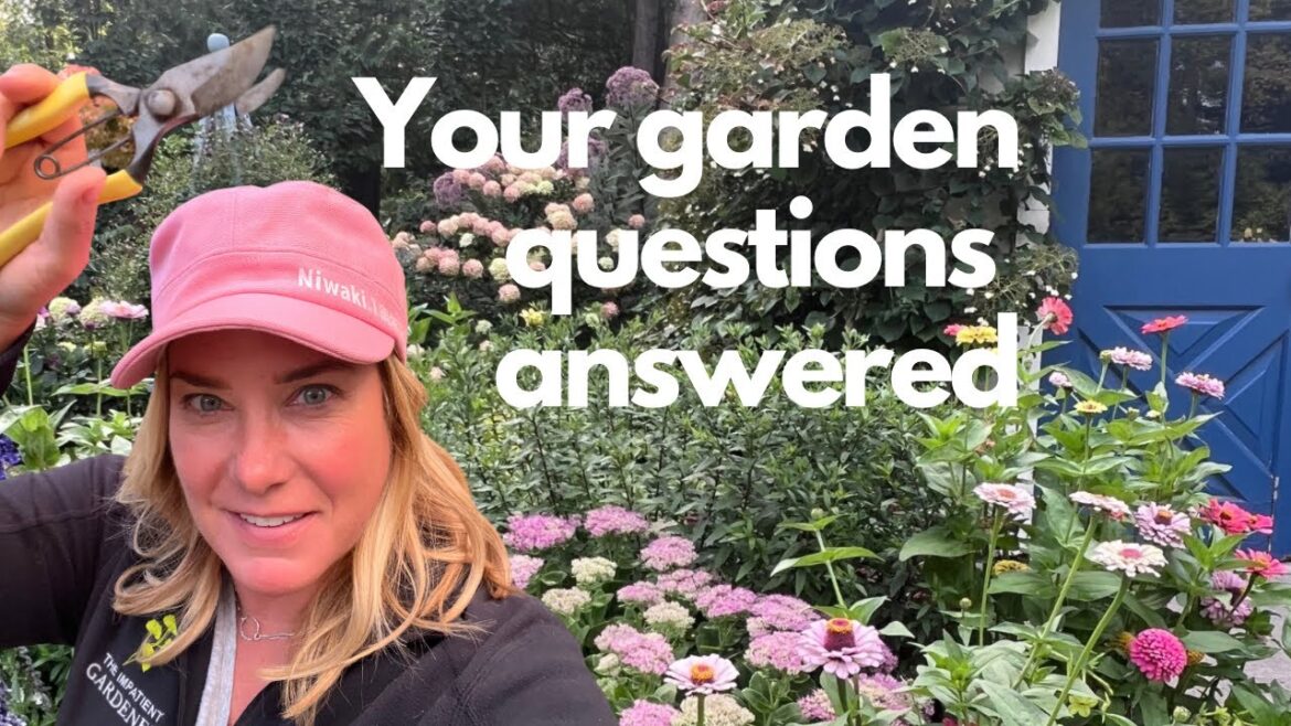 Garden tour Q&A 🌿 Viewer postcards! Garden tour Q&A 🌿 Viewer postcards!