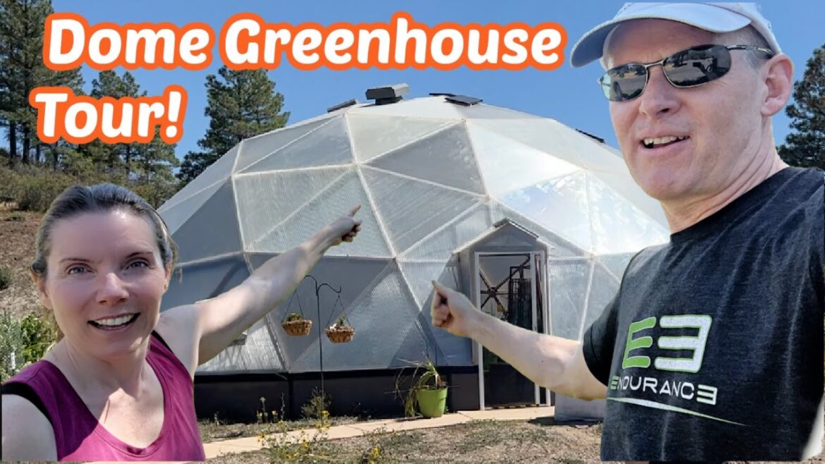 Unlocking Self Reliance: our Year Round Food Plan with a Greenhouse Dome! Unlocking Self Reliance: our Year Round Food Plan with a Greenhouse Dome!