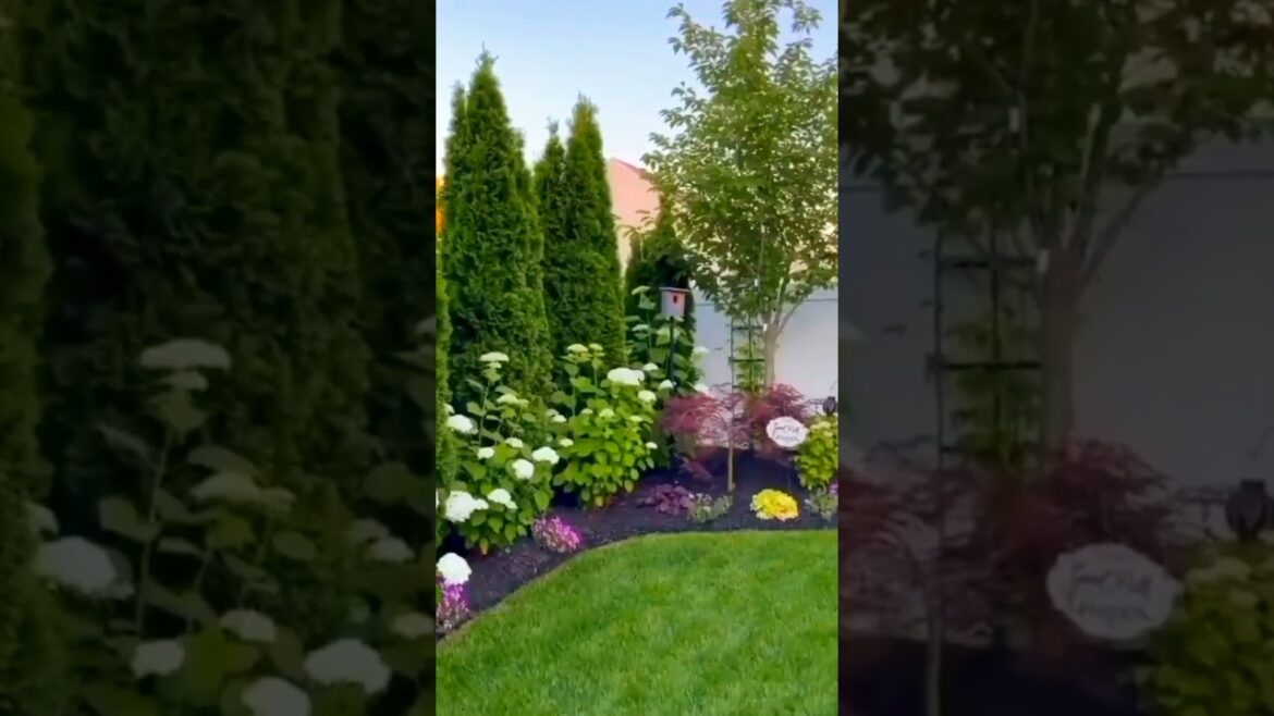 Gorgeos Backyard garden Landscaping #trends #gardening #homedecor