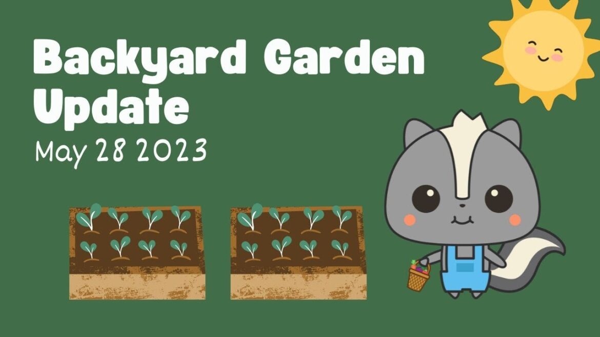 May 28th 2023 Backyard Garden Update
