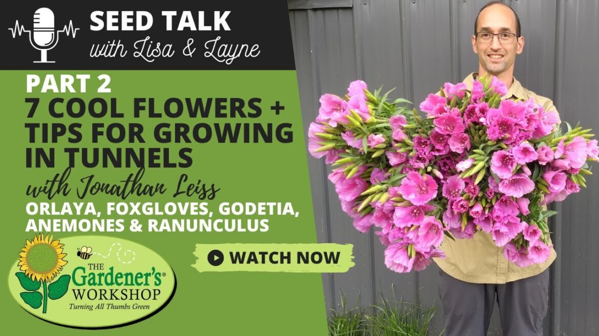Seed Talk #54 - 7 Cool Flowers Plus Tips for Growing in Tunnels, Part 2 - with Jonathan Leiss
