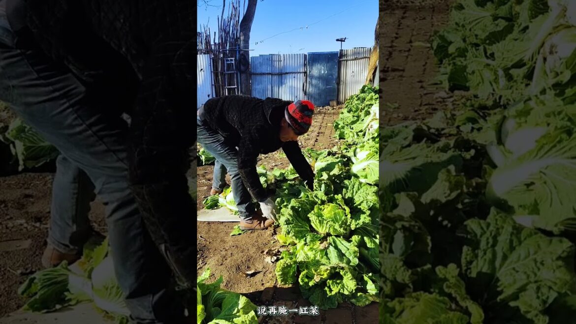 Beautiful Nature Garden Plan Natural life Style Beautiful landscapes