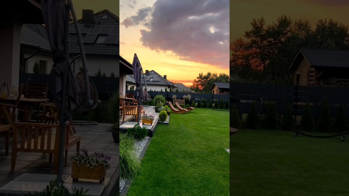 Modren Frontyard Landscaping//Frontyard Patio Design// #shorts #artificialturf #landscape #Frontyard Modren Frontyard Landscaping//Frontyard Patio Design// #shorts #artificialturf #landscape #Frontyard