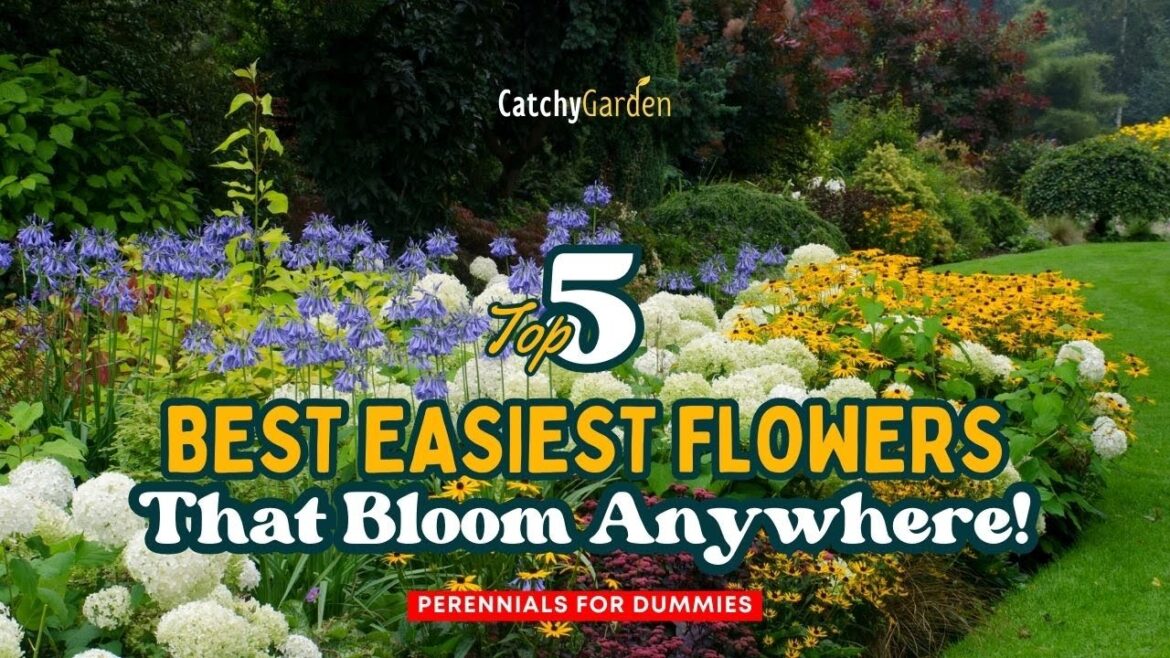 Perennials for Dummies: 5 Best Easiest Flowers That Bloom Anywhere! 🌻🌺🌿 // Gardening Ideas