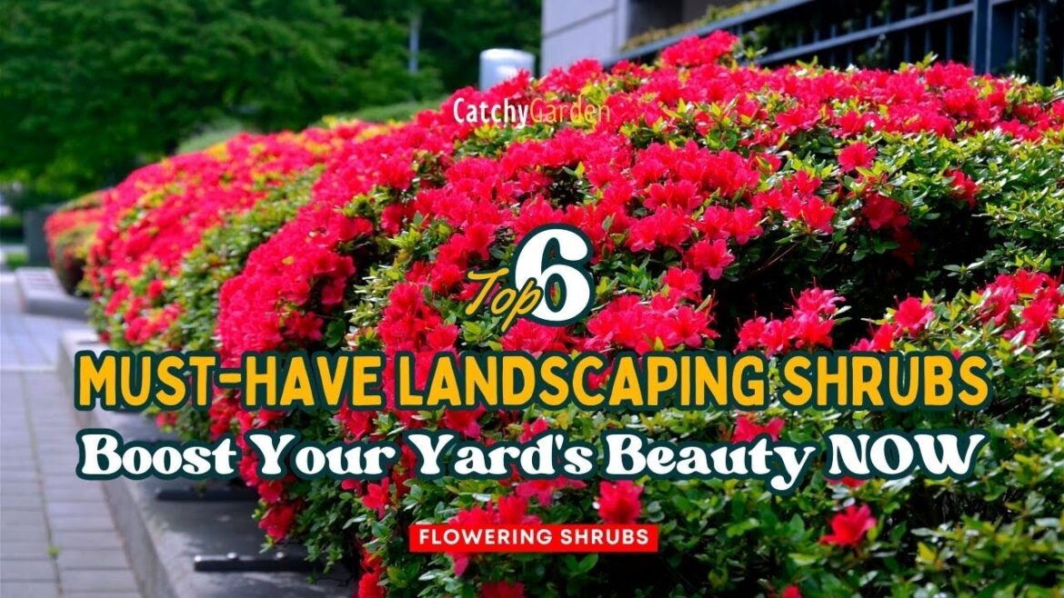6 Must Have Landscaping Shrubs // Boost Your Yard's Beauty NOW 🌿🌼 // Gardening Ideas