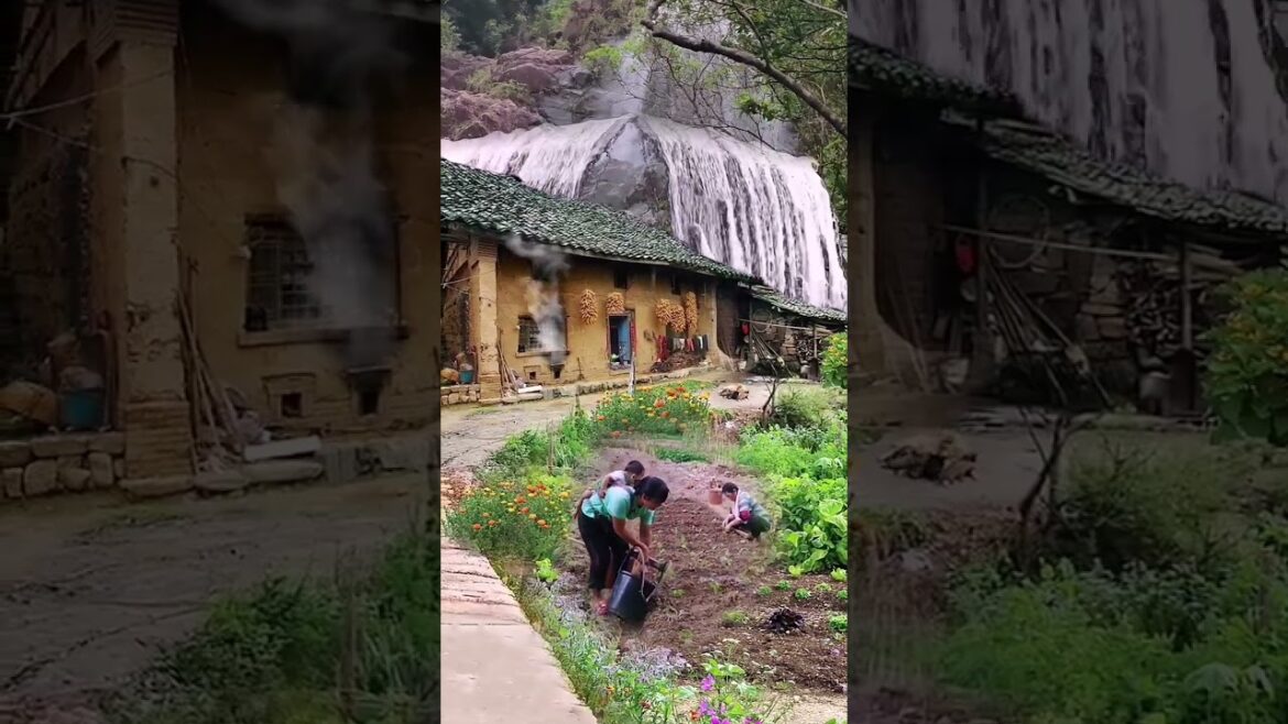 Beautiful Nature Garden Plan Natural life Style Beautiful landscapes Beautiful Nature Garden Plan Natural life Style Beautiful landscapes