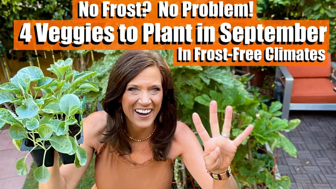No Frost? No Problem! 4 Vegetables You MUST Plant in September in Frost-Free Climates