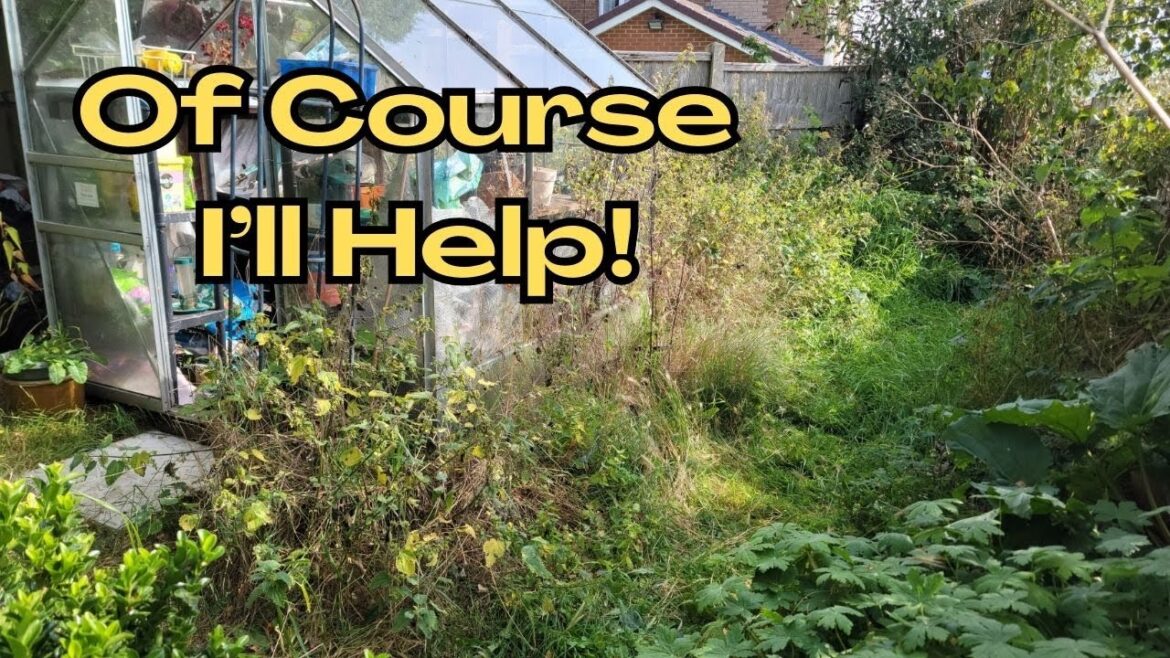 Old Man Needed More HELP in his garden!  No Problem, Transforming this Nature Garden for FREE.