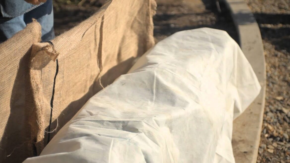 How to Protect Plants From Winter Winds : Fall & Winter Gardening Tips