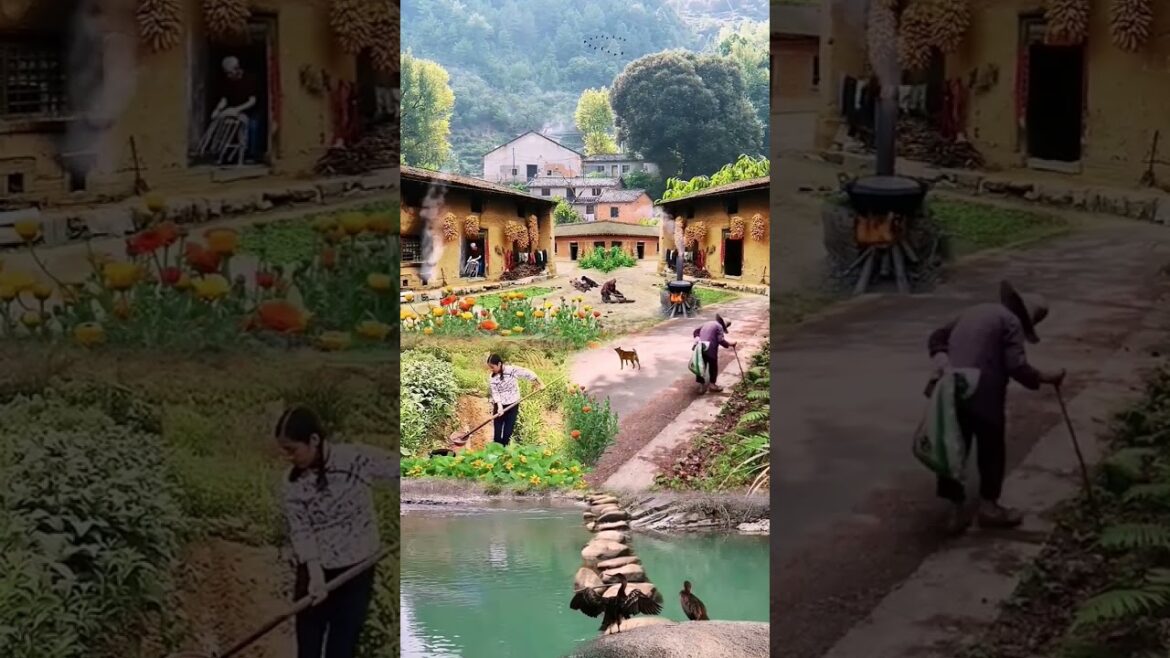 Beautiful Nature Garden Plan Natural life Style Beautiful landscapes Beautiful Nature Garden Plan Natural life Style Beautiful landscapes