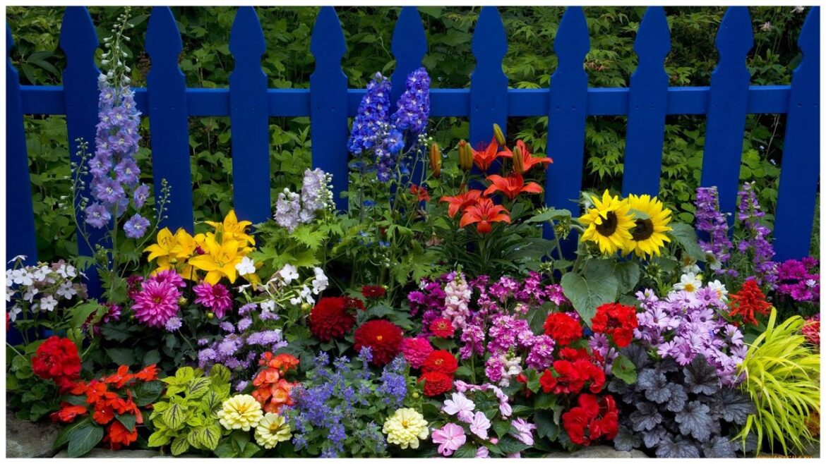 Flowers, flower beds, flower garden, flower pots! 255 beautiful ideas!