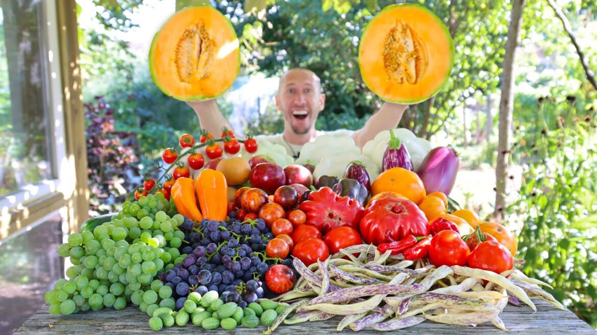Unbelievable Late September Garden Harvest, Backyard Sustainable Gardening