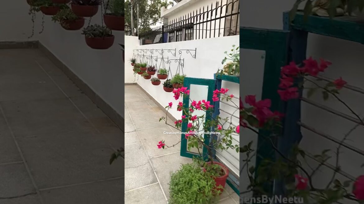 Home Entryway decor 💕 #shorts #diygarden #balconymakeover @CreativeHomesAndGardensByNeetu Home Entryway decor 💕 #shorts #diygarden #balconymakeover @CreativeHomesAndGardensByNeetu