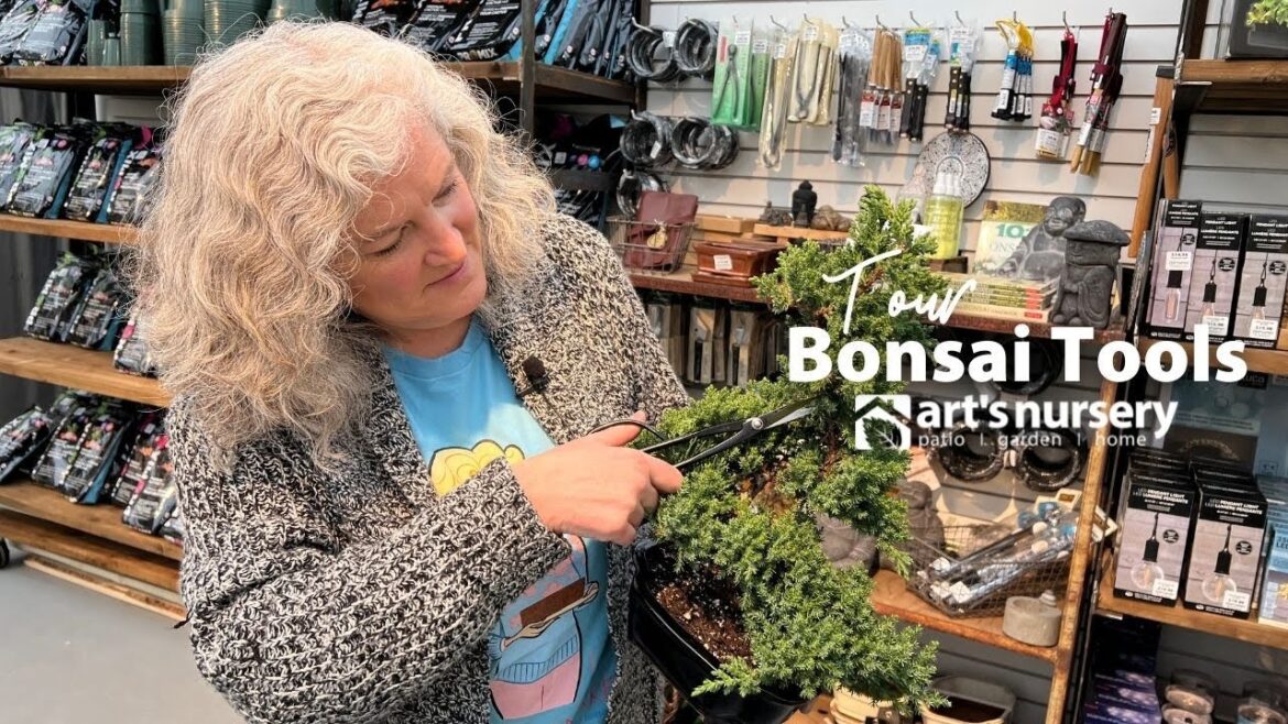 Bonsai Tool Tour