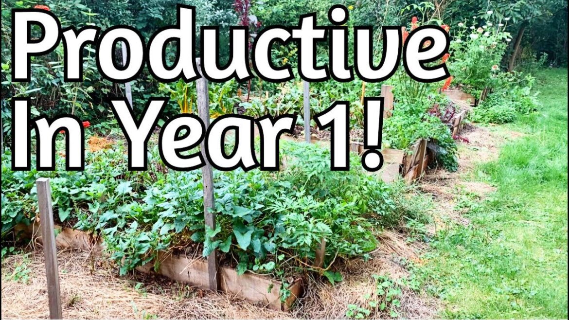 Raised Bed Review - Hugelbeds WIN!