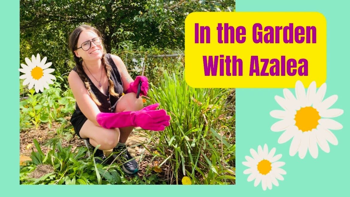 In the Garden with Azalea β’ Lemongrass β’ Daisy In the Garden with Azalea β’ Lemongrass β’ Daisy