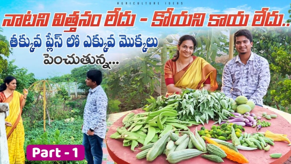Mad Gardener Madhavi Farm Tips | తక్కువ విస్తీర్ణంలో ఎక్కువ మొక్కలు పెంచుతున్న | Shiva Agri Clinic
