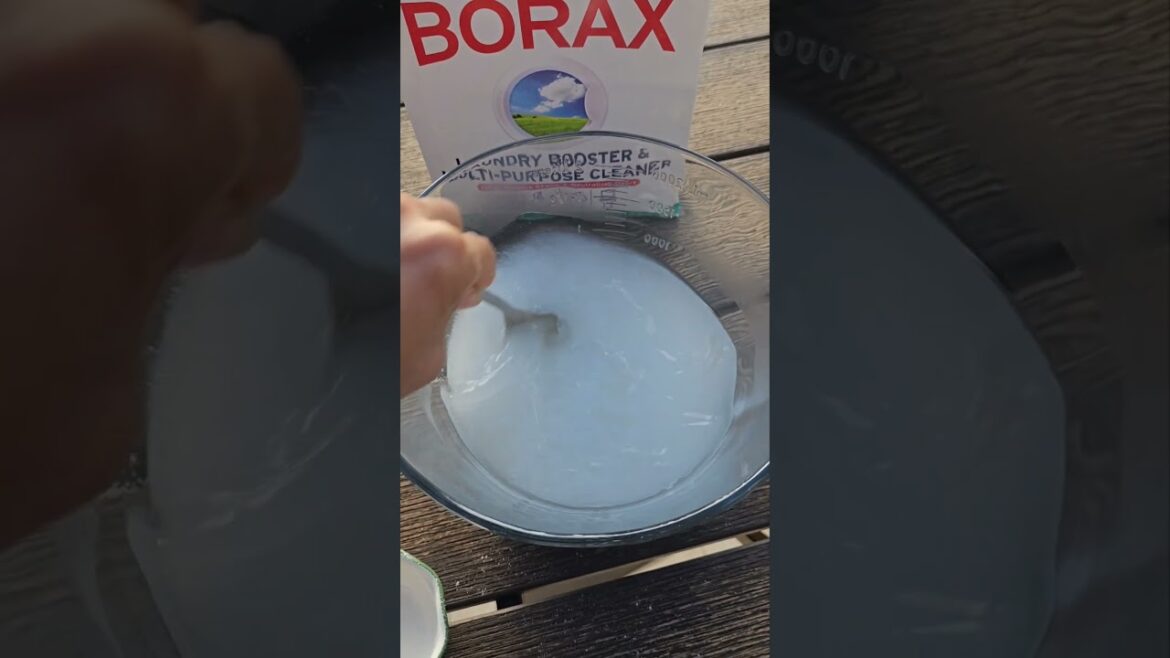 Easy Homemade Ant Killer DIY Ant Poison #garden #home #diy #ant #poison #gardening Easy Homemade Ant Killer DIY Ant Poison #garden #home #diy #ant #poison #gardening