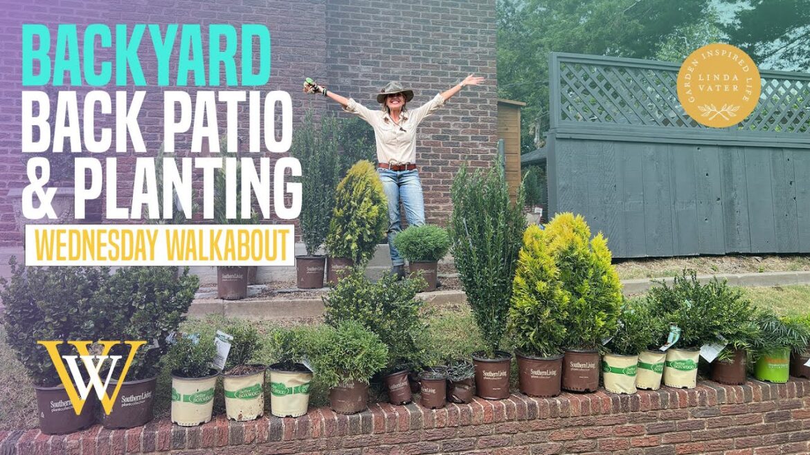 Backyard, Back Patio, Back PLANTING‼️ Backyard, Back Patio, Back PLANTING‼️