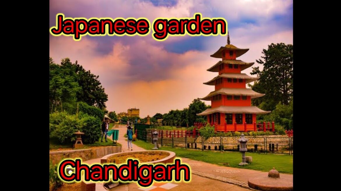 Japanese garden Chandigarh ki sair Japanese garden Chandigarh ki sair