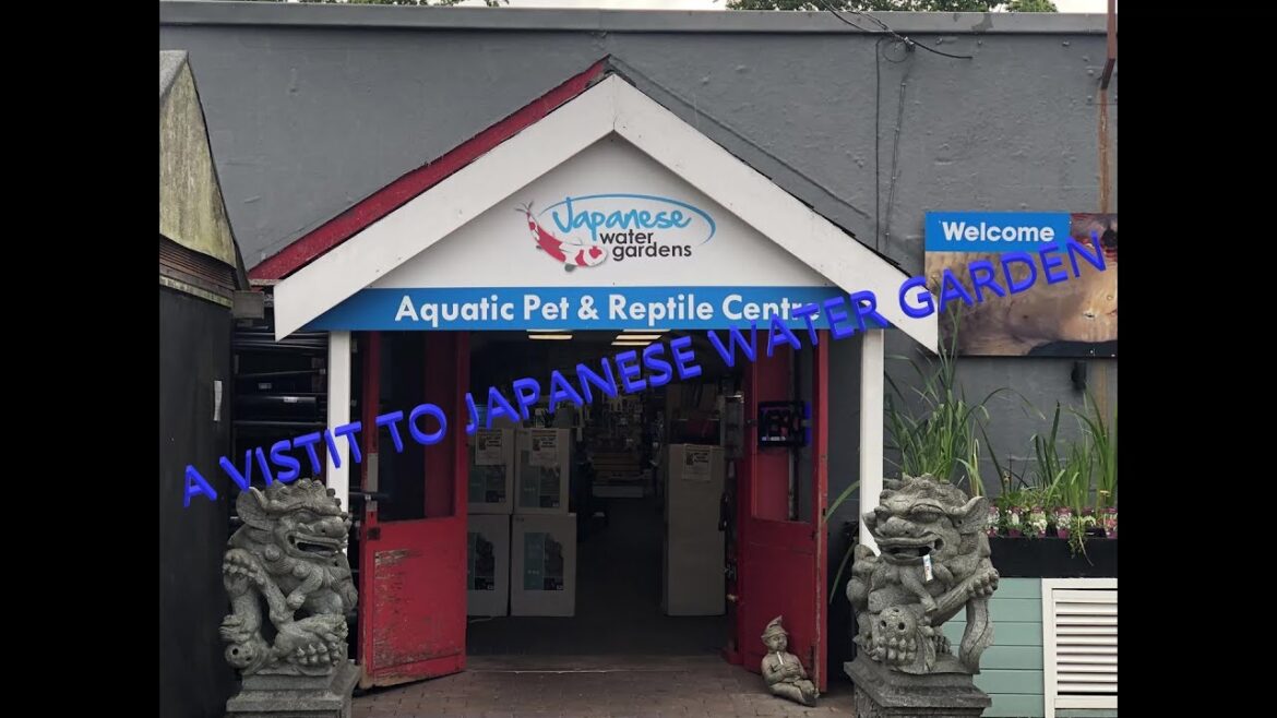 A VISTIT TO JAPANESE WATER GARDEN A VISTIT TO JAPANESE WATER GARDEN