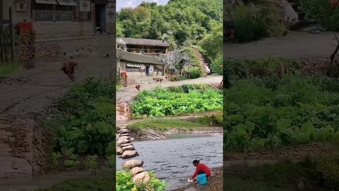 Beautiful Nature Garden Plan Natural life Style Beautiful landscapes Beautiful Nature Garden Plan Natural life Style Beautiful landscapes