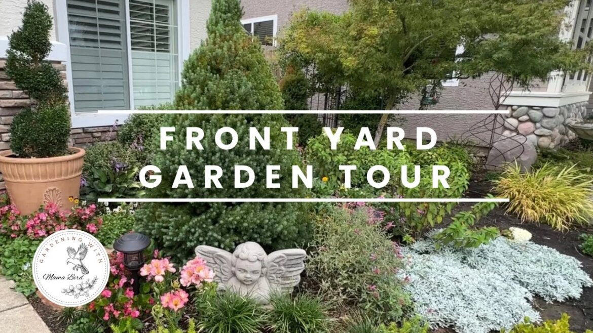 Front yard garden tour: Small space landscape ideas: Zone 9b garden tour #front yard curb appeal