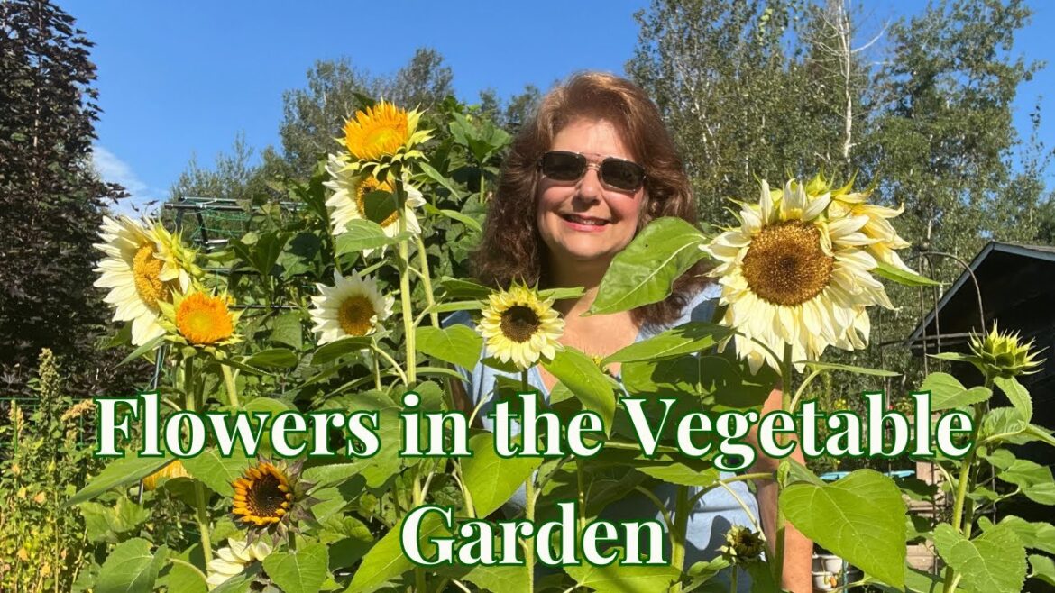 Flowers to plant in Vegetable Garden (Why?) // Gardening at the Simongetti North