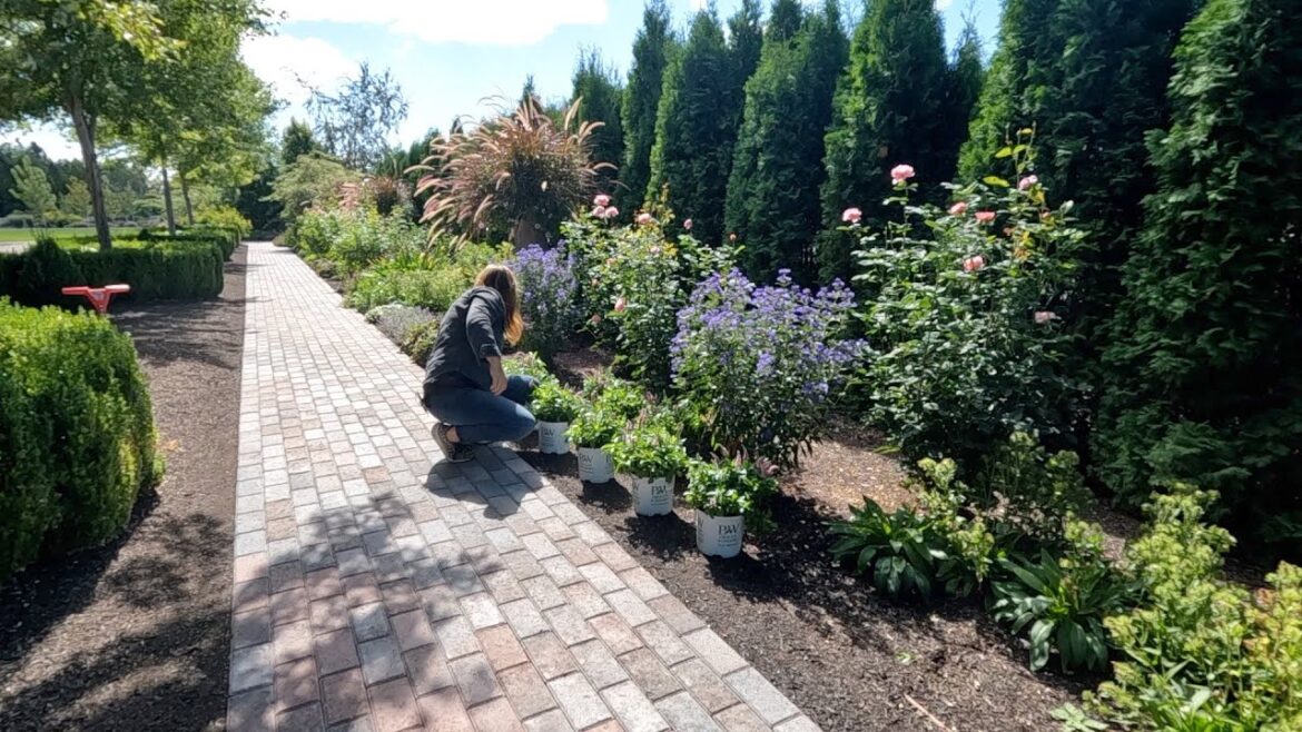Finishing the Tree Planting, Perennial Planting & Pathway/Patio Update! 🙌🥰🌳 // Garden Answer