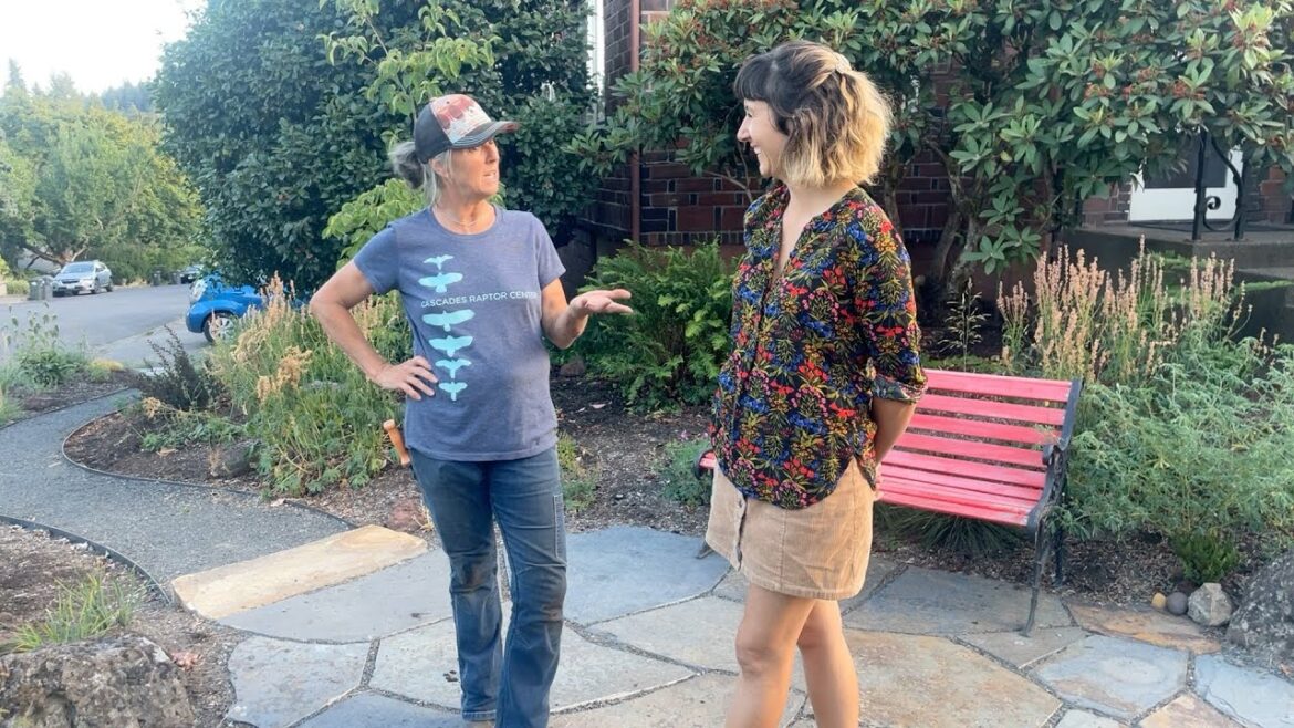 Mary’s ‘Rewild’ Garden