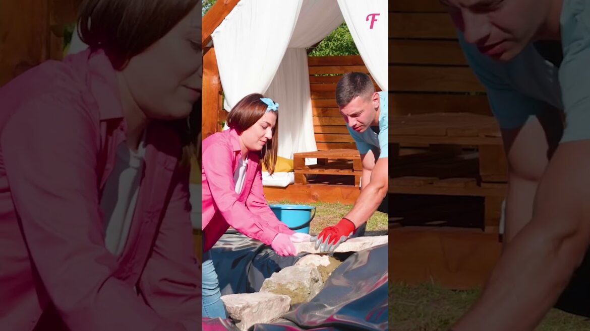 Create Your Oasis: DIY Cozy Pond and Aquarium Guide #shorts