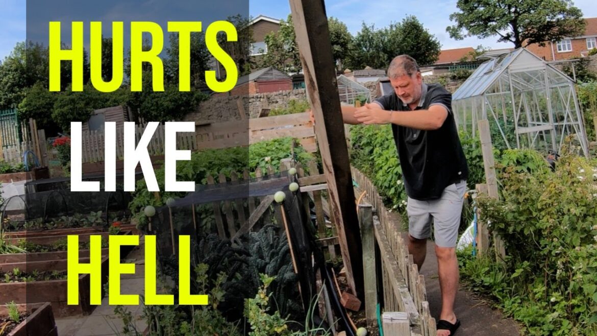 Ouch – Gardening Hurts 😥 Ouch - Gardening Hurts 😥