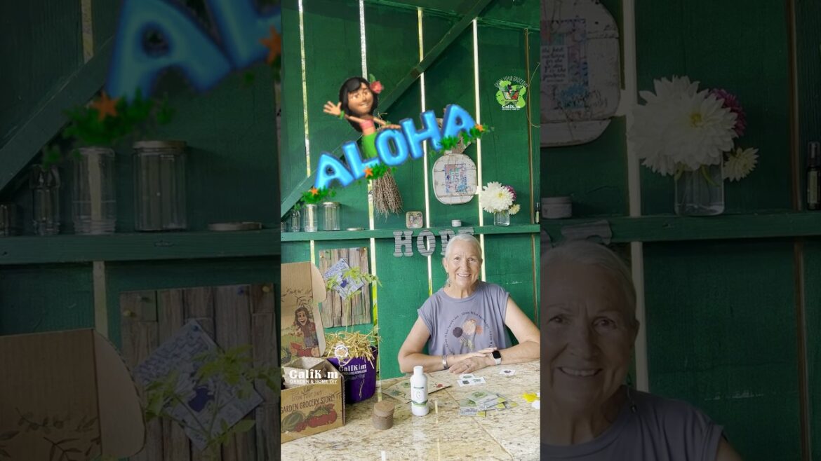 Debbie from Lanai,HI opens her Subscription Box Pt.2