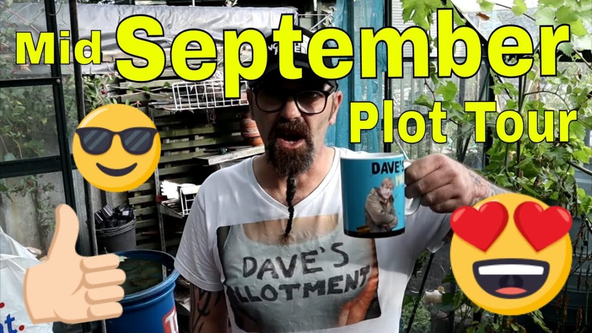 Mid SEPTEMBER Plot Tour. Time to PREPARE for Next Year. Dave’s Allotment Garden. September 2023. Mid SEPTEMBER Plot Tour. Time to PREPARE for Next Year. Dave's Allotment Garden. September 2023.