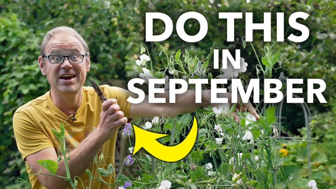 Garden Checklist: 12 Tasks You Need to do in September Garden Checklist: 12 Tasks You Need to do in September