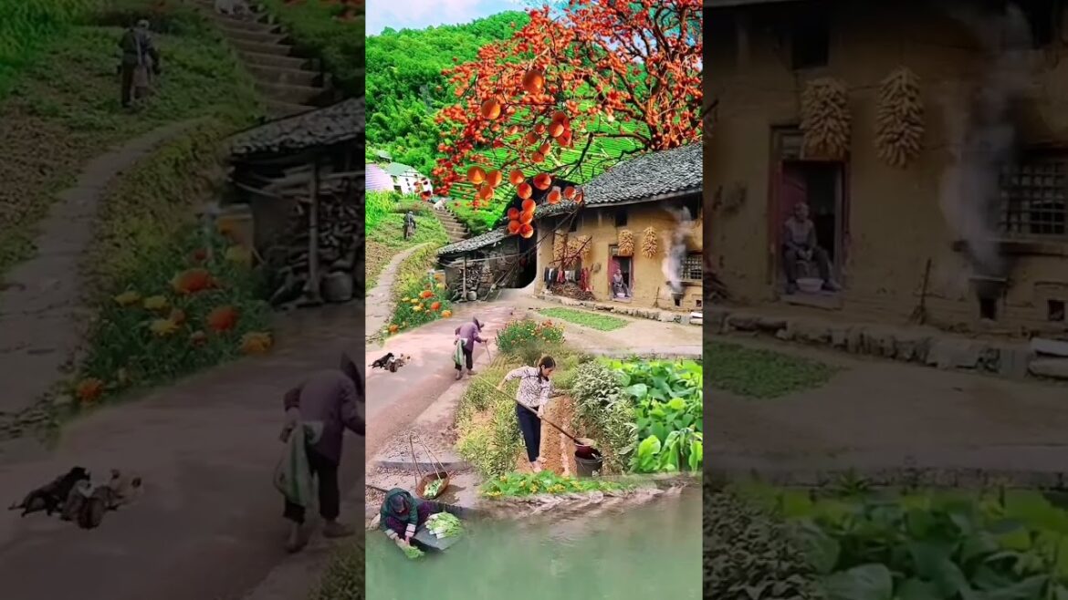 Beautiful Nature Garden Plan Natural life Style Beautiful landscapes