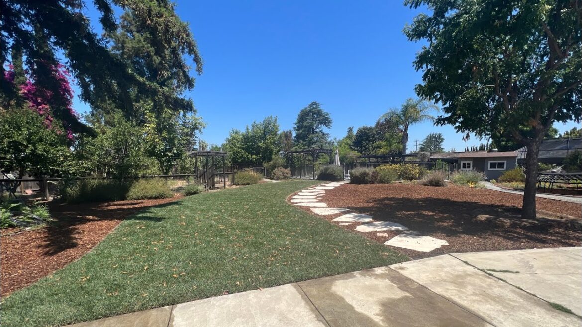 Stunning Backyard Landscape Transformation 🤩