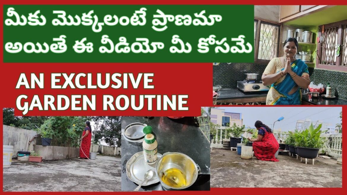 EASY ORGANIC GARDENING TIPS FOR BUSY HOUSEWIVES WHO ARE PLANT LOVERS/  AND ALSO BEGINNERS