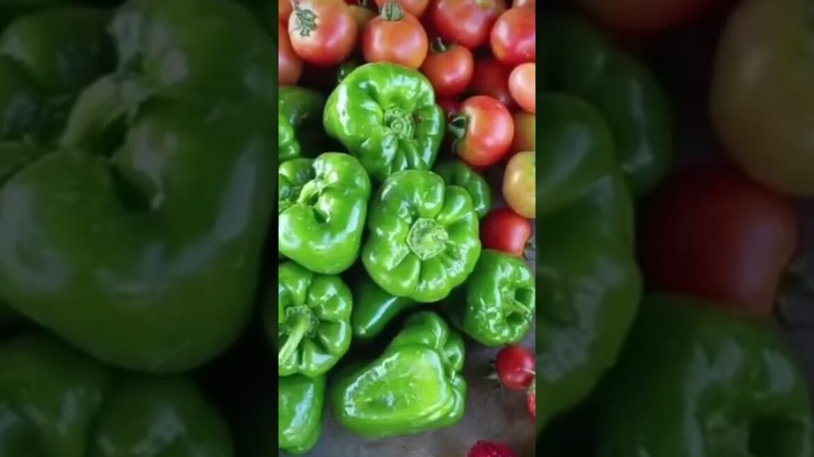 fresh and colorful vegetables and fruits# viral# short# youtubeshort# trends fresh and colorful vegetables and fruits# viral# short# youtubeshort# trends