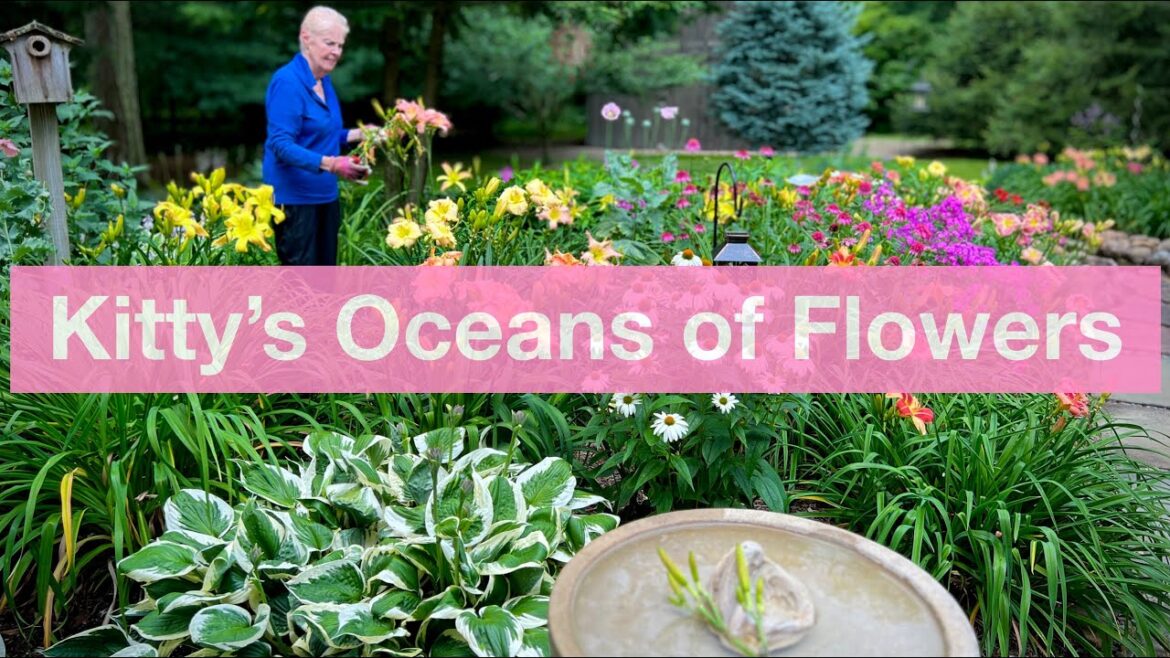 A Garden with Oceans of Flowers | Pine Ridge Gardens