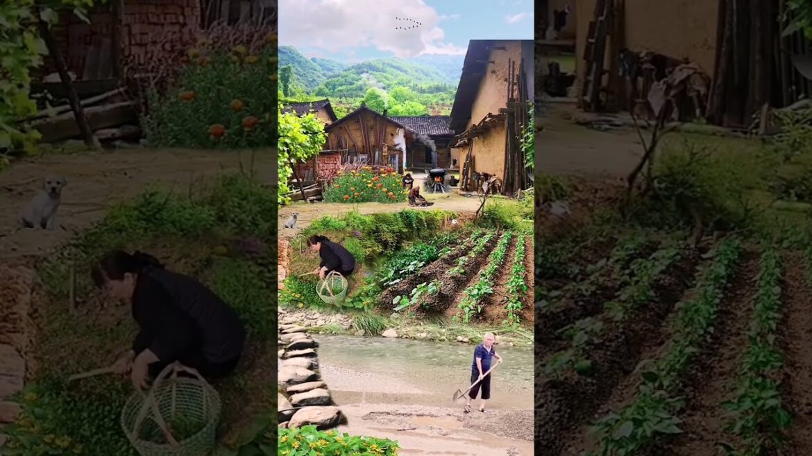 Beautiful Nature Garden Plan Natural life Style Beautiful landscapes Beautiful Nature Garden Plan Natural life Style Beautiful landscapes