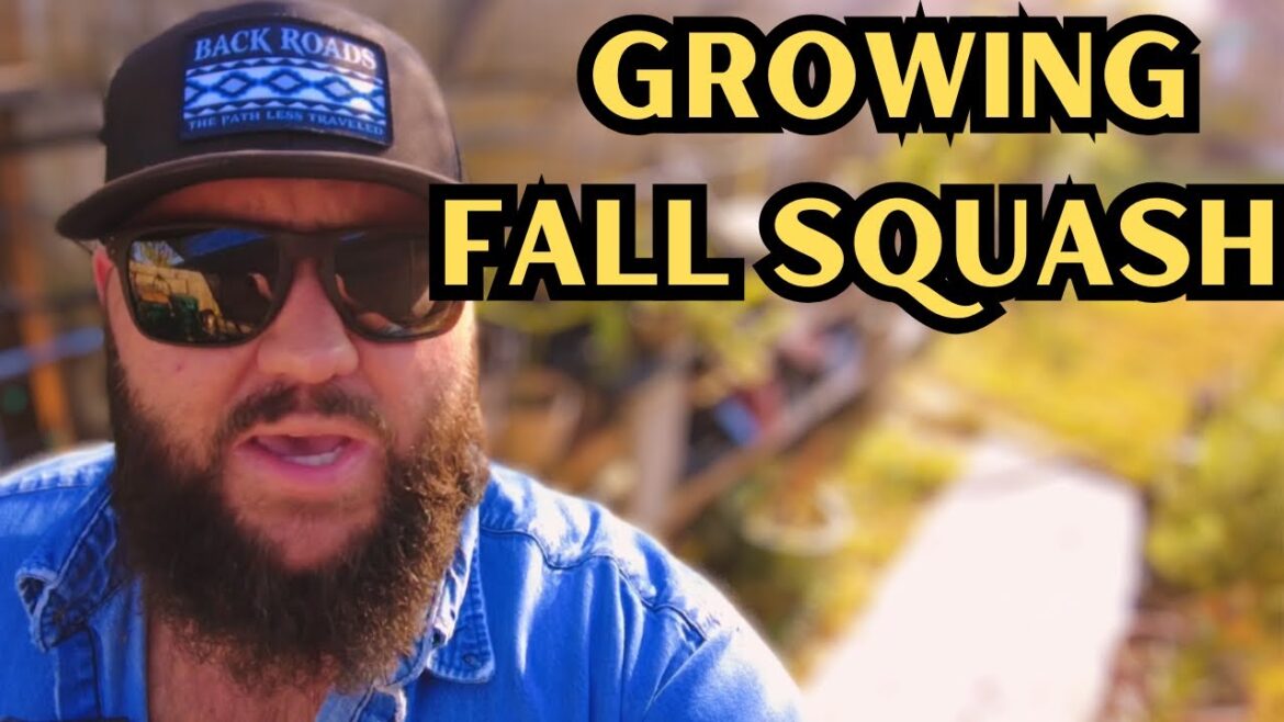 Growing Fall Squash ! | Texas Garden Guy VLOG 9-11-2023