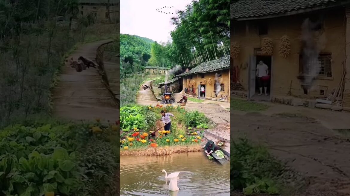 Beautiful Nature Garden Plan Natural life Style Beautiful landscapes Beautiful Nature Garden Plan Natural life Style Beautiful landscapes