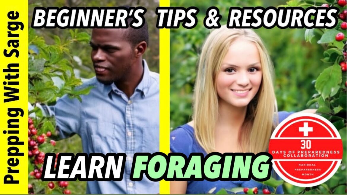 Survival Foraging Tips  #nationalpreparednessmonth #30daysofpreparedness