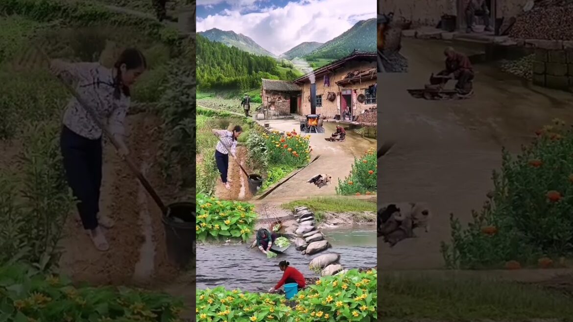 Beautiful Nature Garden Plan Natural life Style Beautiful landscapes